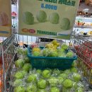 (주)케이오지 이미지