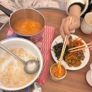 cafe뜨레 | [엄마랑 동유럽자유여행] 프라하 쇼핑day, 마누팍투라랑 보타니쿠스 (3일차, 프라하)