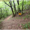 천주산 누리길 이미지