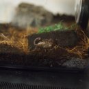 지호농장 이미지