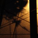 토닥토닥 이미지