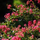 걸포중앙공원 중앙부 화장실 이미지