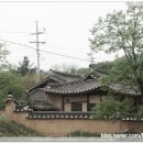 금광리장씨고택 Daum카페