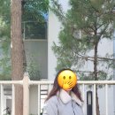 빼꼼슈즈 이미지