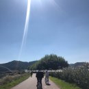 태화강대공원 대여소 이미지