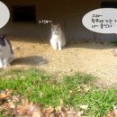 햇살밥상 이미지