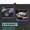 24시 온누리동물메디컬센터 이미지