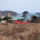 방포해수욕장 Daum카페