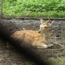 계곡산장 이미지