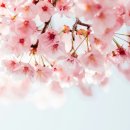 예래 본향당 이미지