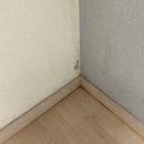 청계동물약품 | 🧹동대문구 이사청소 잘하는곳 | 힐스테이트 청계아파트 22평 완벽 청소 후기