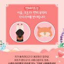 고려동물병원 이미지