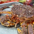 대신수산식당 네이버블로그