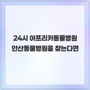24시 아프리카동물병원 | 24시 아프리카동물병원 안산동물병원을 찾는다면