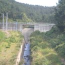 정강해수욕장 Daum카페