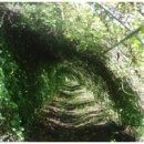 유경 농장 이미지