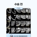 우장산동물의료센터 이미지