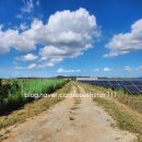 남진 태양광발전소 이미지