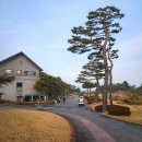 GS25역곡빌리지점 | 횡성 알프스대영CC 골프장 빌리지 숙소, 이 가격에 이 정도?