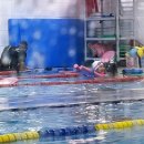 대한키즈 스윔스쿨 동대문 캠퍼스 이미지