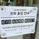 더그린;사계절의꽃
