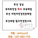 울산성모안경원 네이버블로그