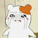 마인드더갭 이미지