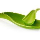 세진정형외과의원 이미지