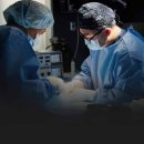 24시월드펫동물메디컬센터 이미지