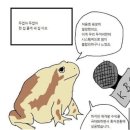 리앤수