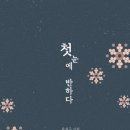 첫눈에반하다 - 칠곡군 | 첫눈에반하다