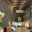 자연속에서-산 | [제천] 🌲 제천 힐링 여행 숙소 추천 포레스트 리솜 제천 – 자연 속에서 완전히 쉬고 온 후기