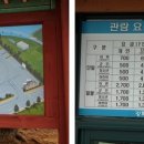 등나무횟집 이미지