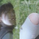 너와나 이미지