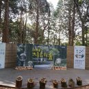 20180107 " 서귀포 치유의숲길자유걷기 " 이미지
