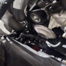 퍼비드모터스 이미지