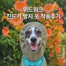 워크위드 | [위드워크 메쉬올인원] 풀숲 좋아하는 강아지를 위한 진드기 방지 올인원