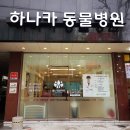 하나카동물병원 이미지