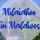 오션컴퍼스 이미지