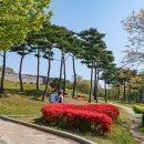 수원-0275 Daum카페