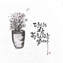 붓펜&수채캘리그라피 이미지