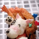 바우와우 이미지