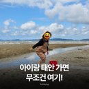 팜비치 | 태안 갯벌체험 숙소 비교, 팜비치 펜션 vs 비비오네 펜션 어디가 좋을까?