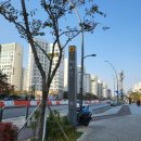 세움헤어 이미지