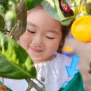 동일리-6 이미지