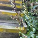 일월민박 이미지