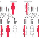 정안경원 이미지