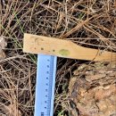 해송농장 이미지