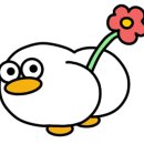 유즈베이 주식회사 이미지