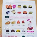 모찌의숲 이미지